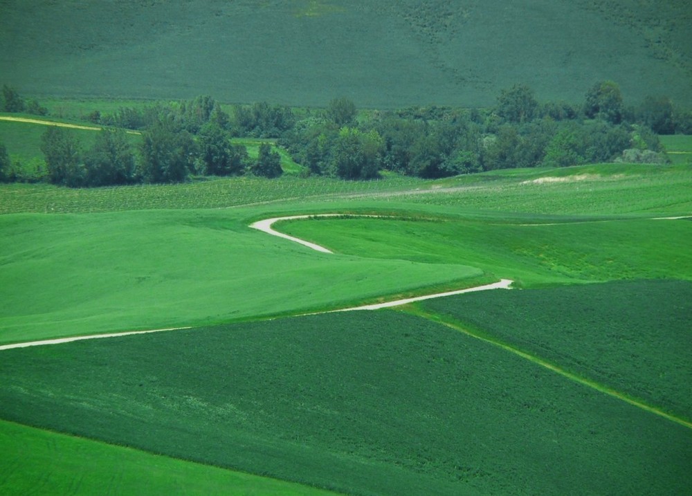 Road and fields