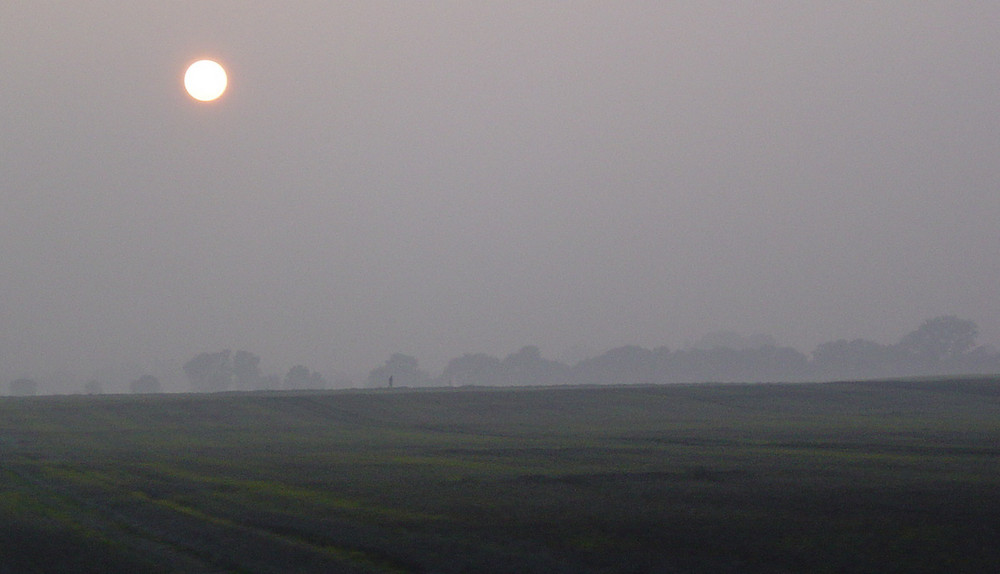 road back home > die Sonne geht über allen auf