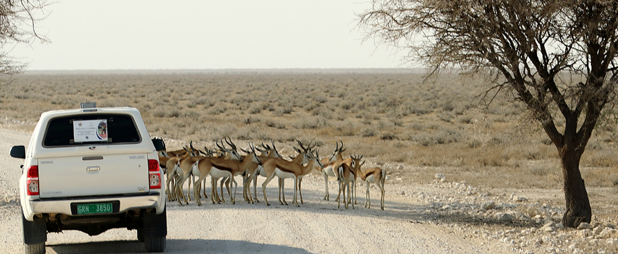 Road Block