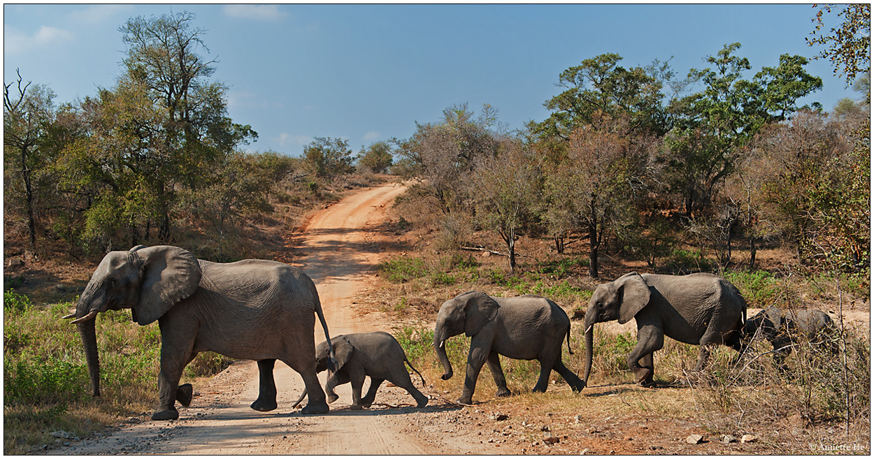 Road blocked