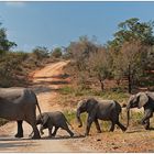 Road blocked