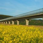 Road bridge