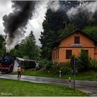 Road Crossing