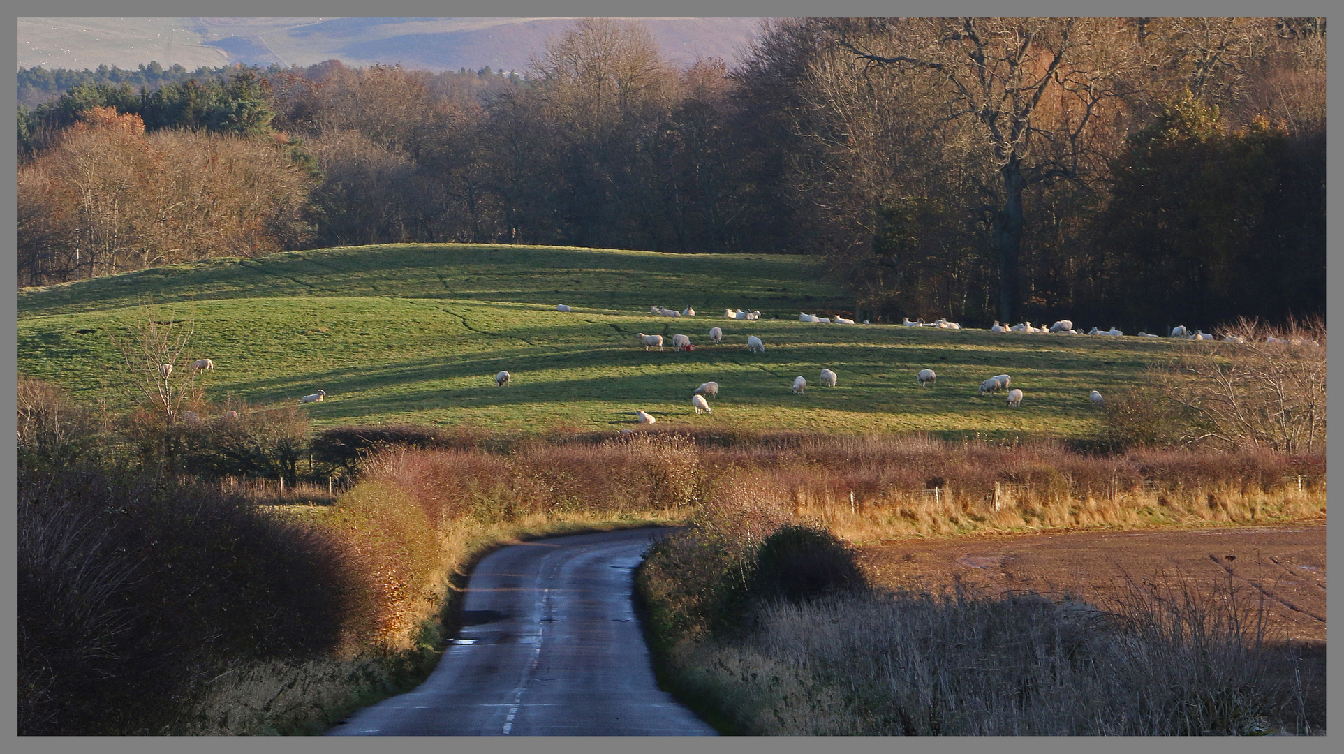 road from kirknewton to yeavering 2A