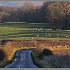 road from kirknewton to yeavering 2A