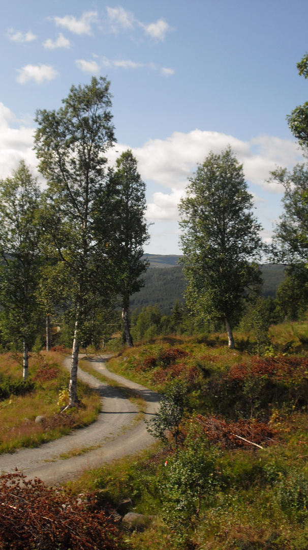 road in Skurdalen