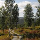 road in Skurdalen