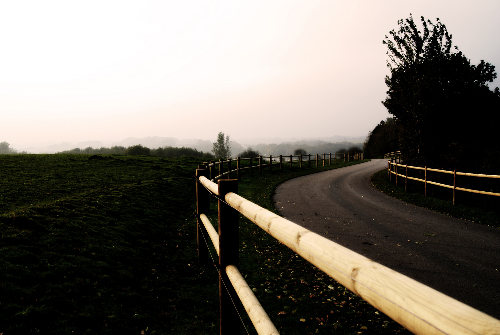 Road in the evening sun