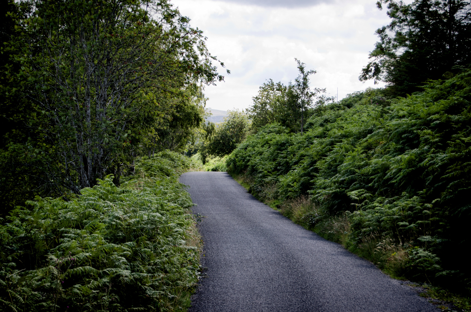 ... road in the wicklow mountains ...