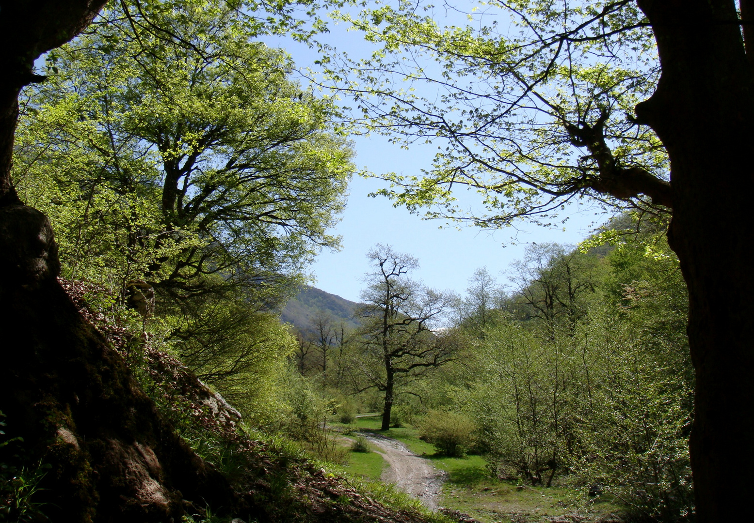 Road into Green Paradise !