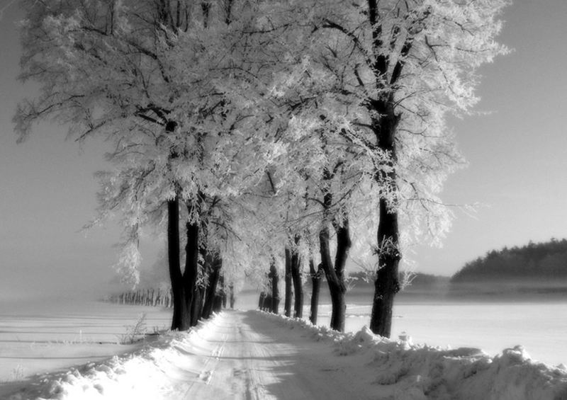 road into winter ... awating for spring