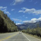 road of dream amidst mountain and forest