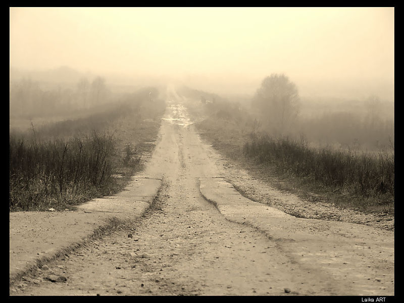 Road of the Stalingrad