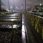 road, railway