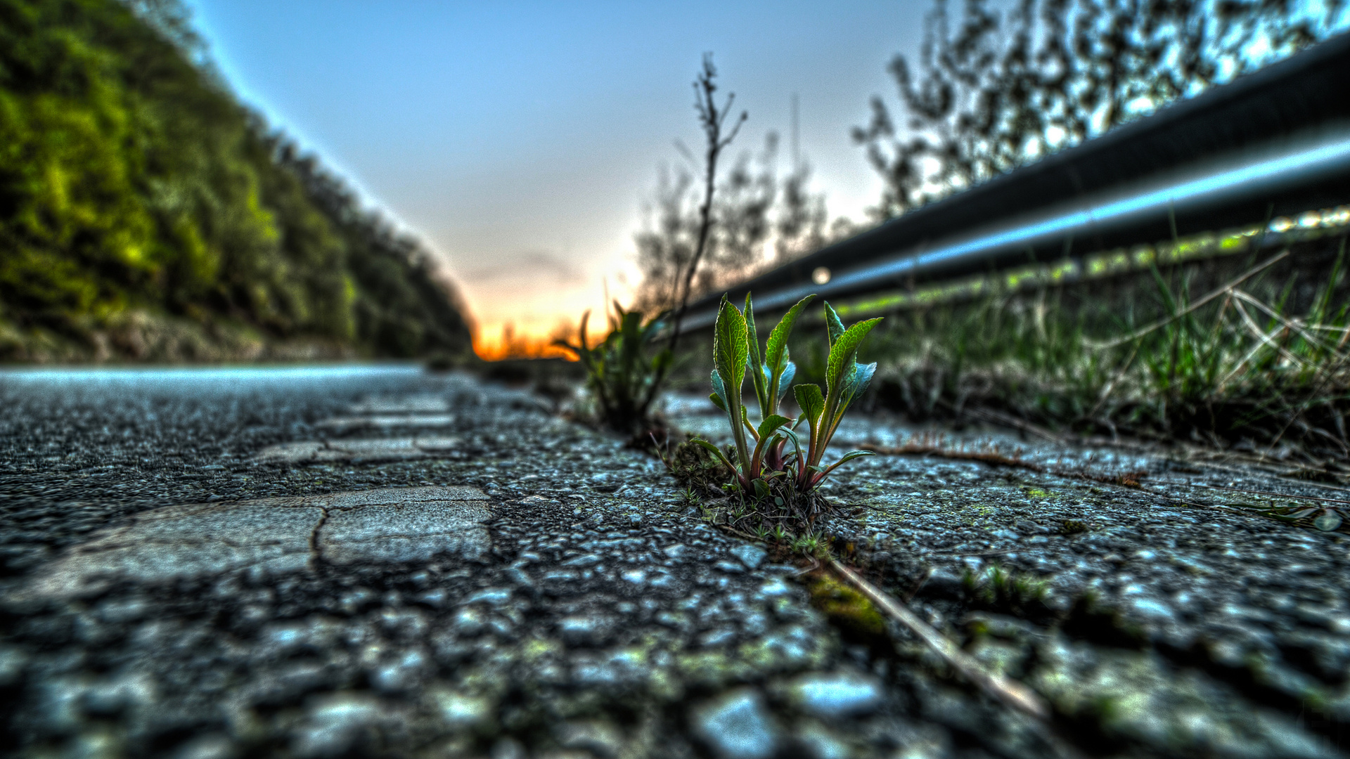 Road side clicks