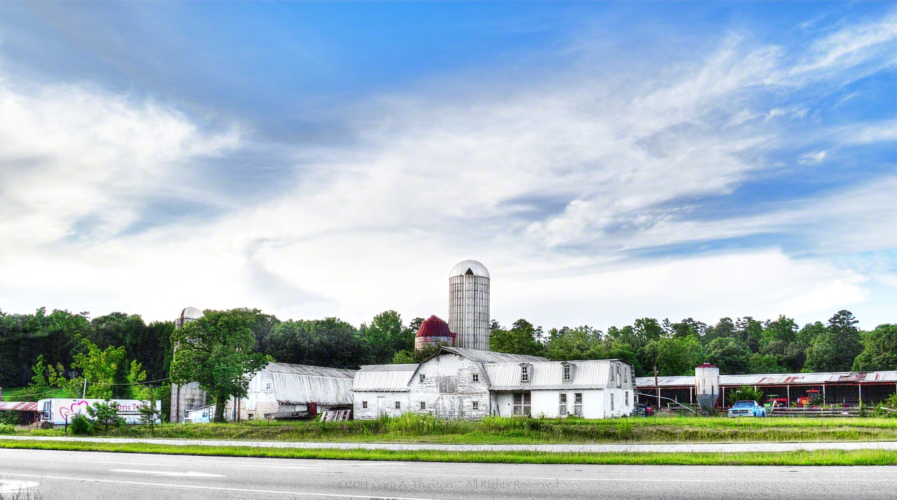 Road Side Dairy