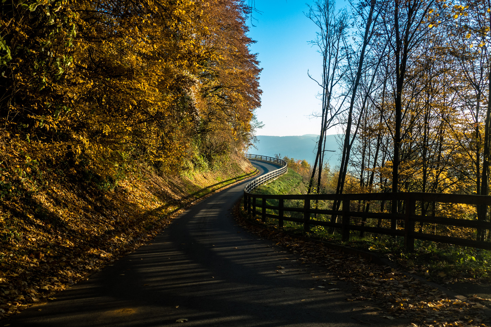 Road through autumn