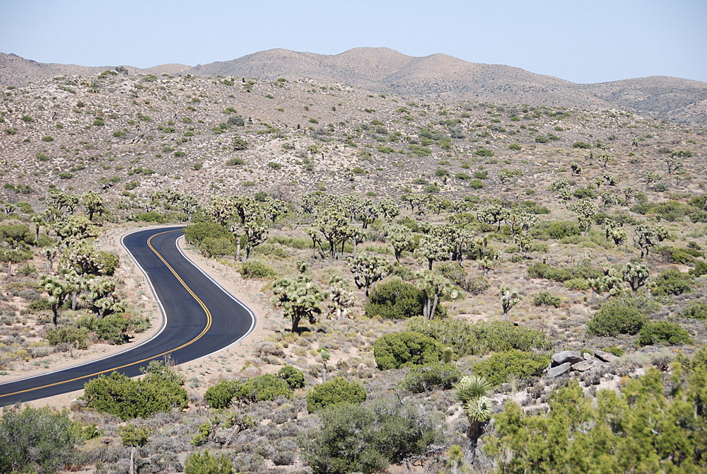 Road through Joshua Tree NP