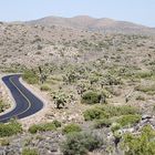 Road through Joshua Tree NP