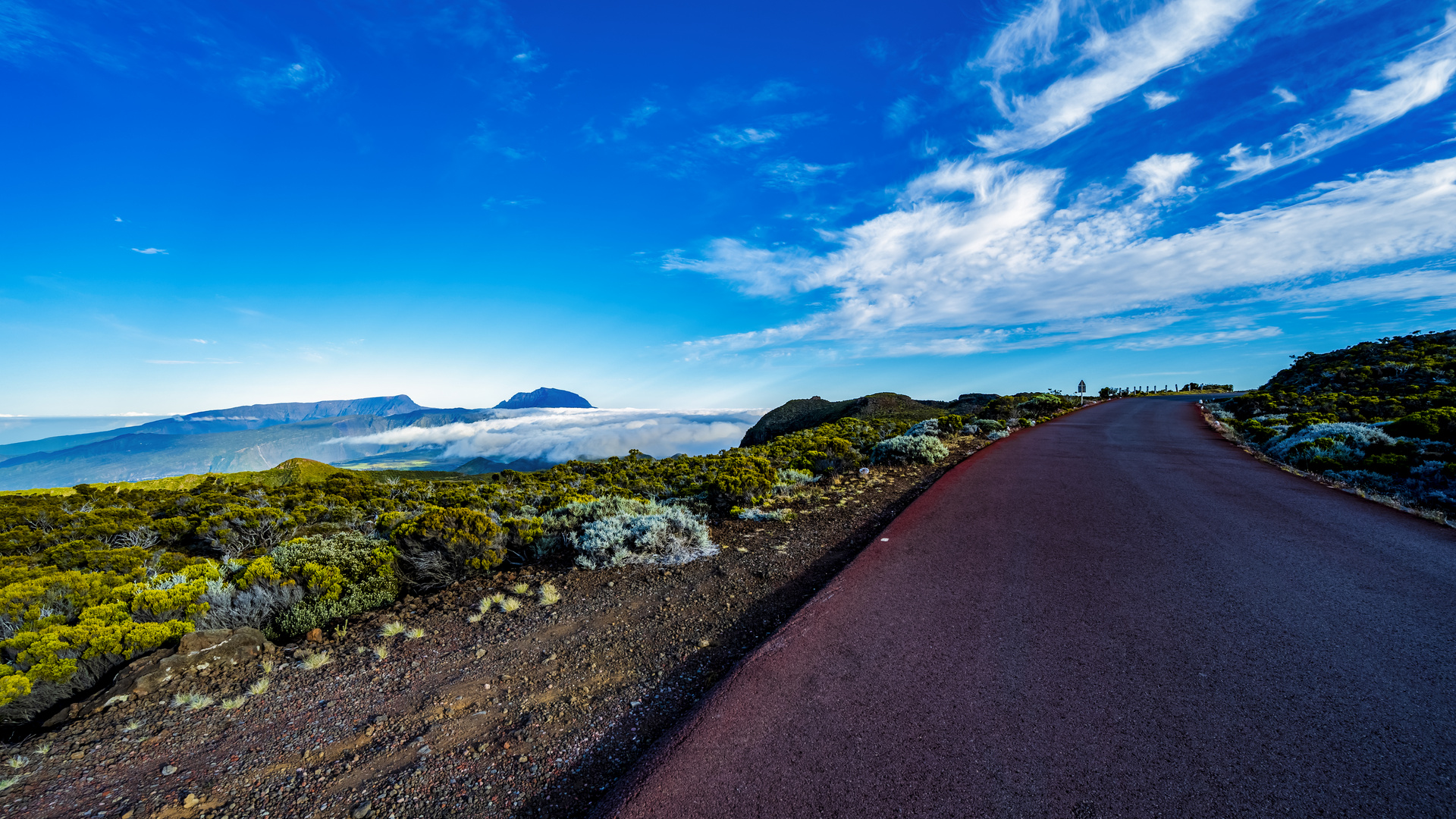 Road through Wonderland