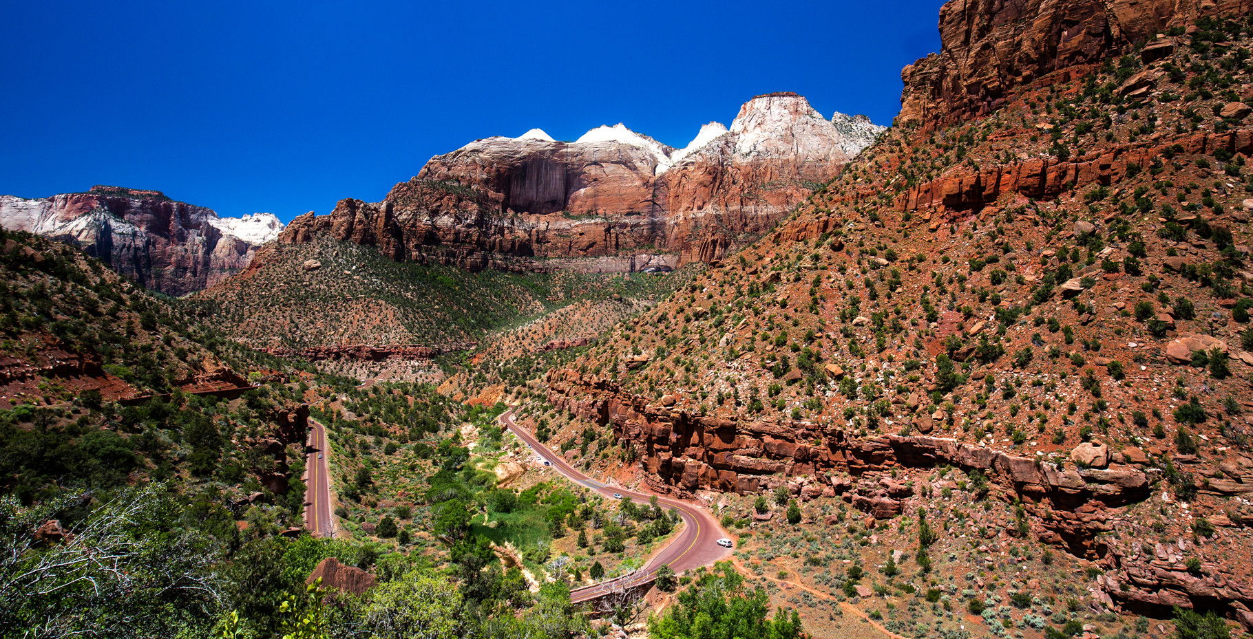 Road through Zion