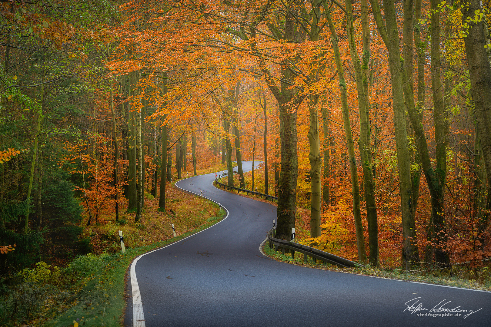 road to autumn