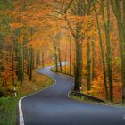 road to autumn