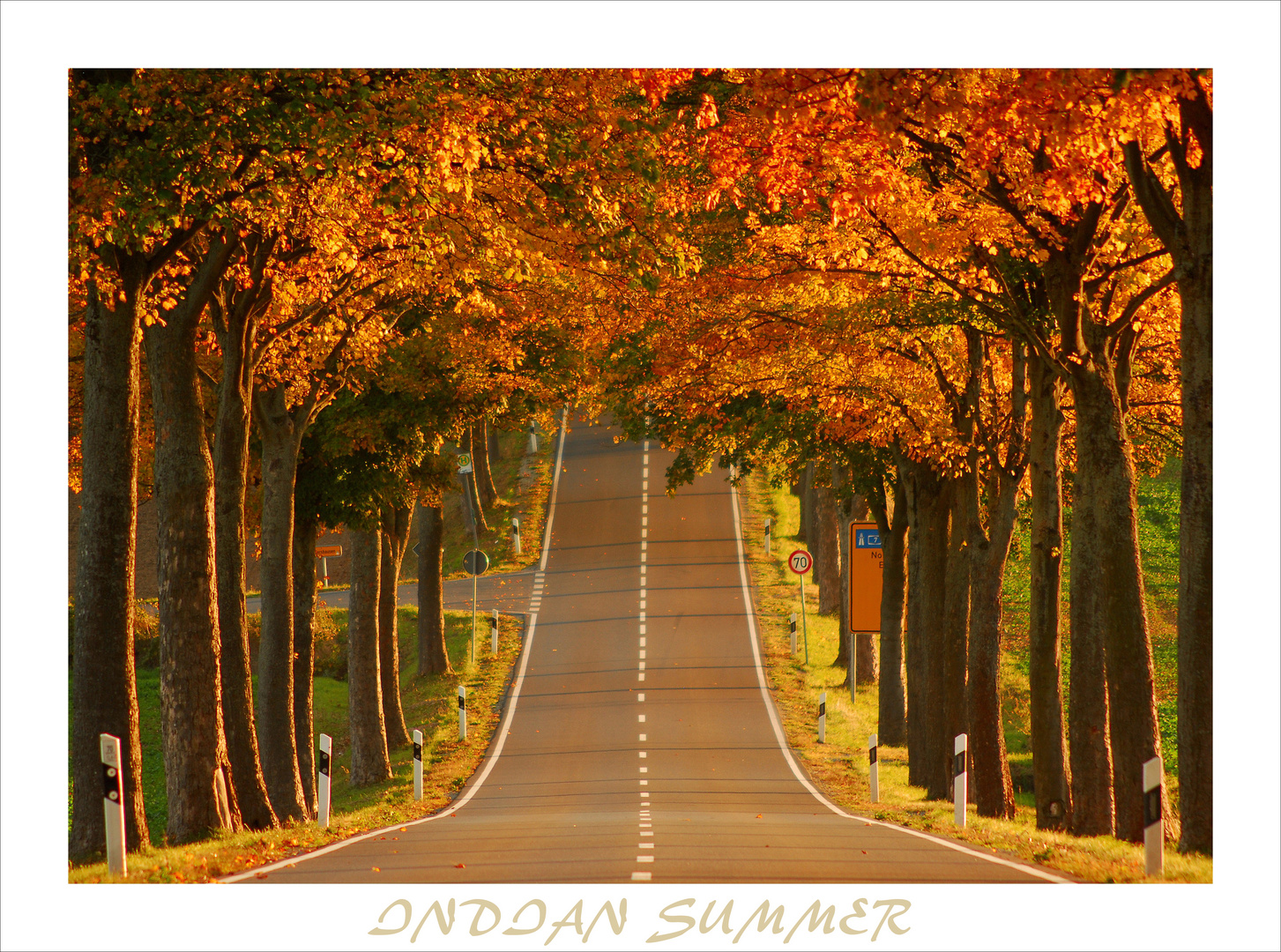 ROAD TO AUTUMN