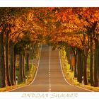 ROAD TO AUTUMN