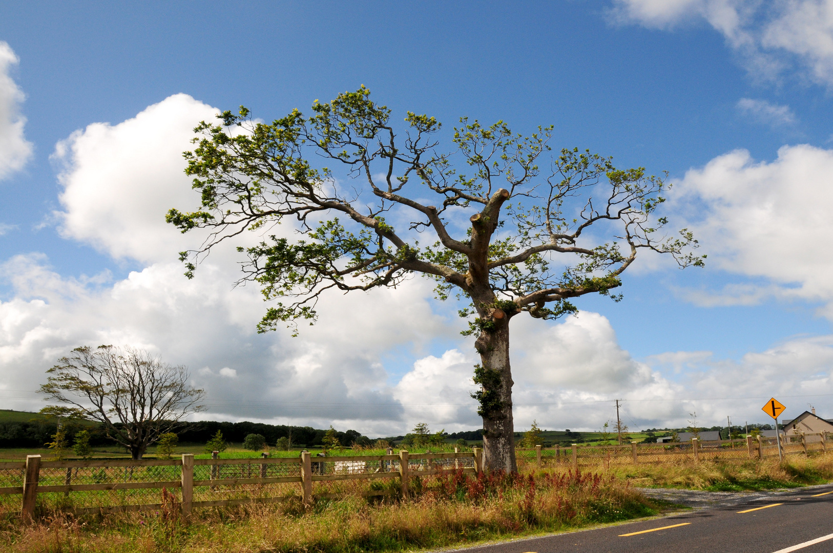 Road to Belclare. As nice as it seems. As lonely as it is. As lovely as you are I'm going it with.