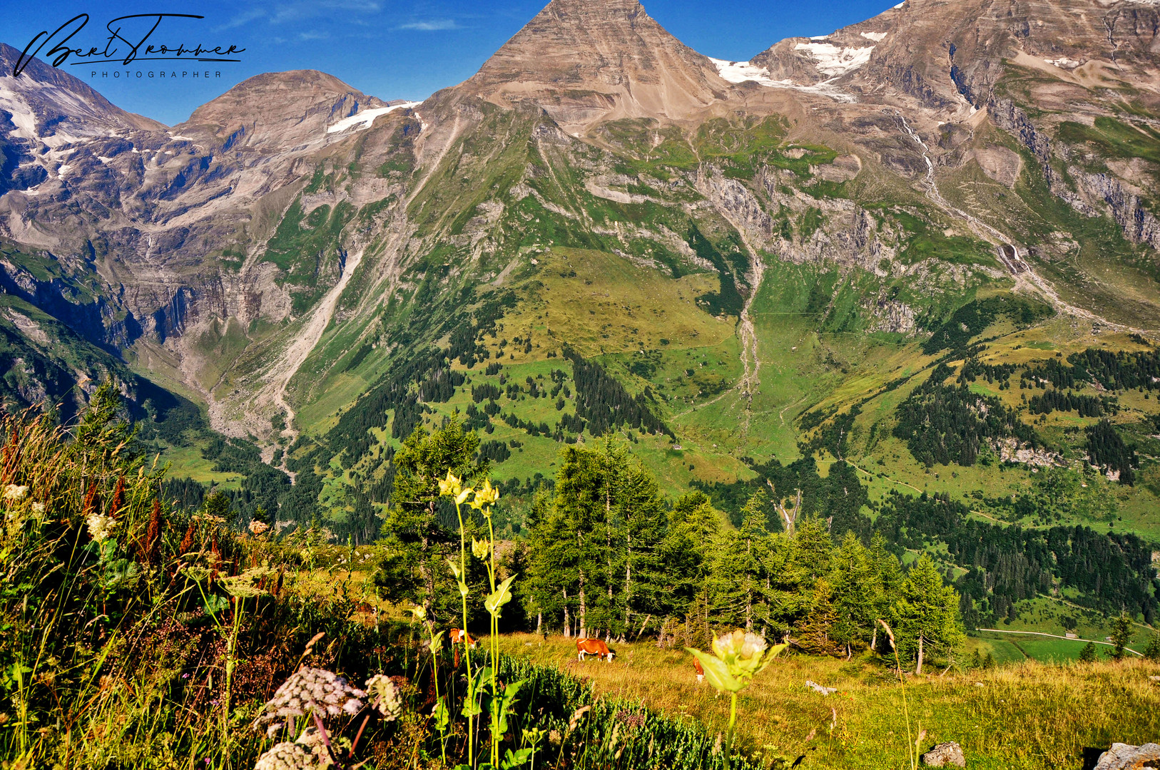 road to Grossglockner