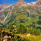 road to Grossglockner