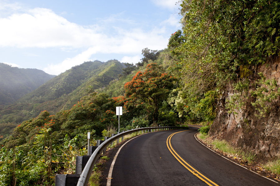 Road to Hana