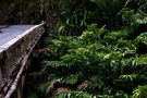 ROAD TO HANA II by Stefan S. Mosley