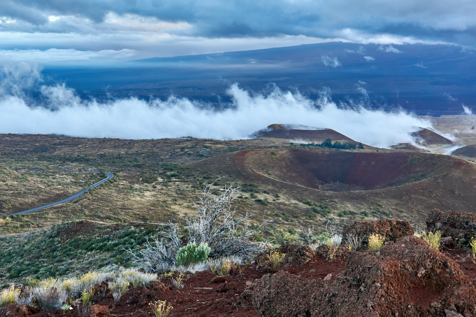 Road to Mauna Kea // Big Island - Hawaii