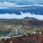 Road to Mauna Kea // Big Island - Hawaii