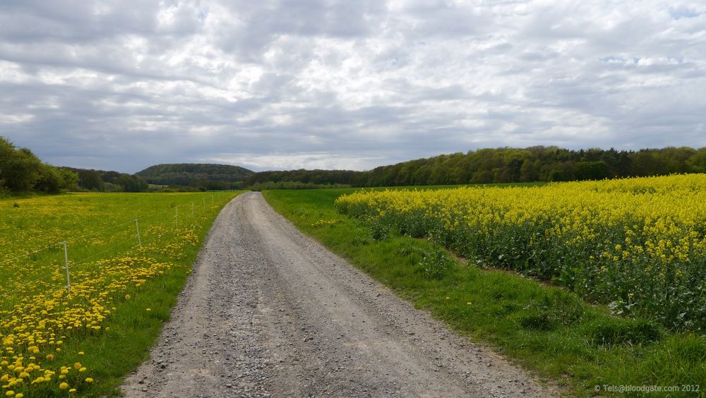 Road to Nature