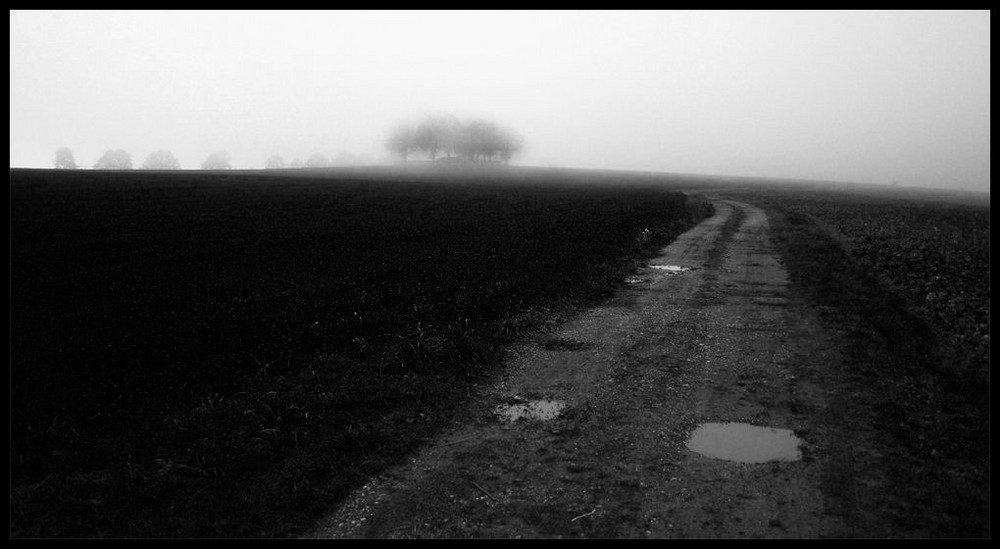 road to nothing II
