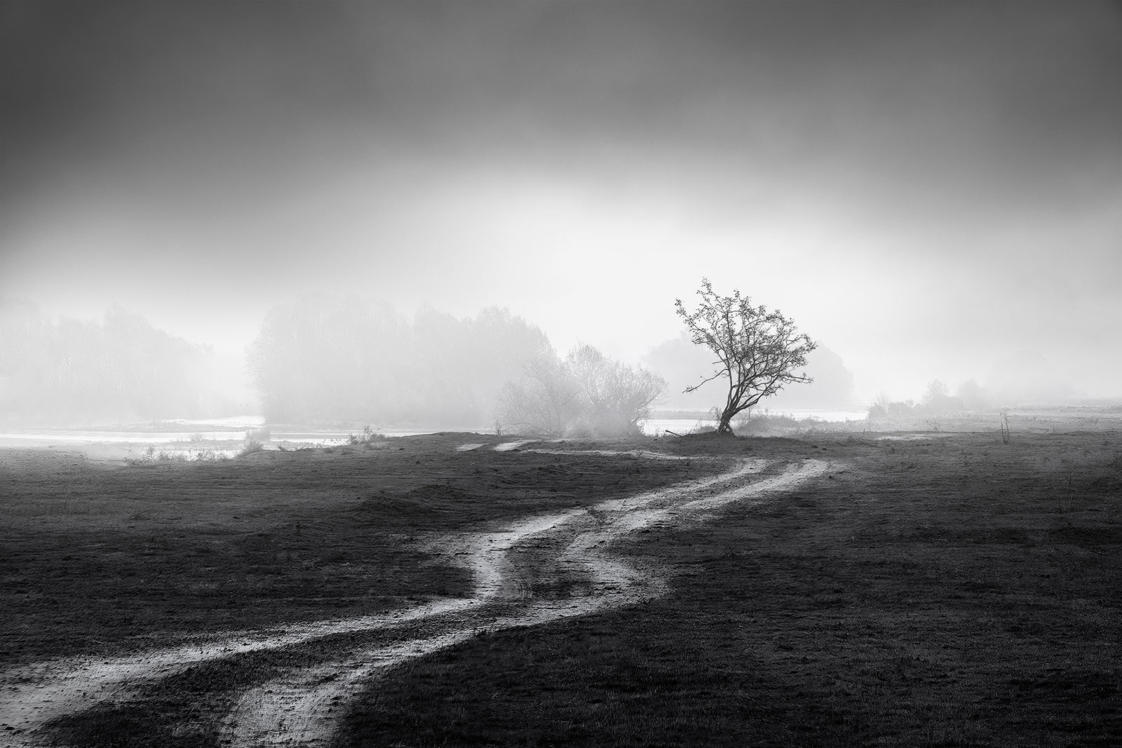 Road to Nowhere