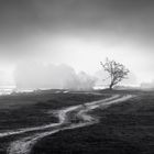 Road to Nowhere