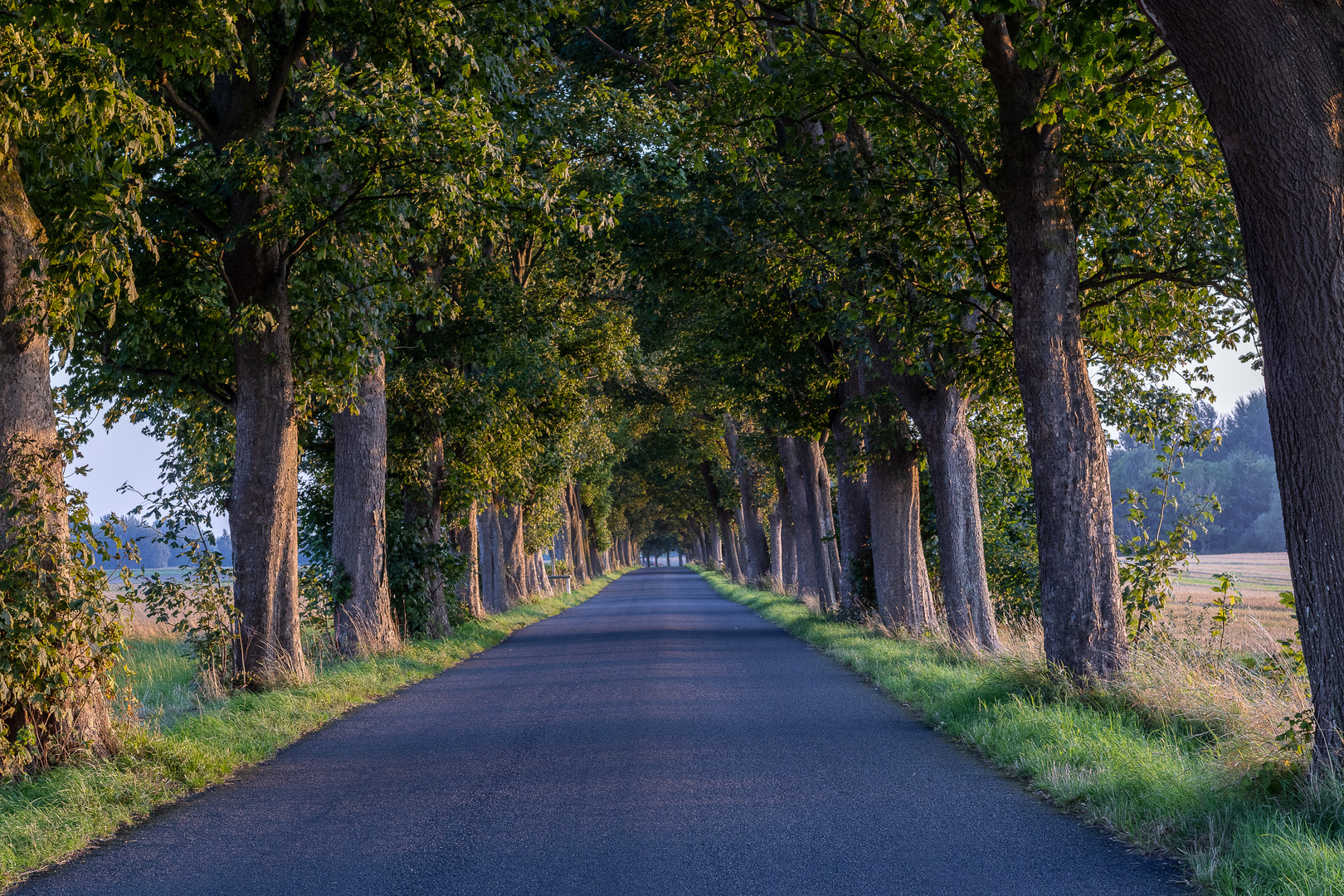 road to nowhere