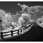 road to nowhere_IR