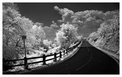 road to nowhere_IR