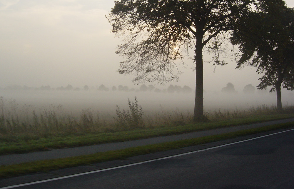 road to pattensen / left hand drive 1