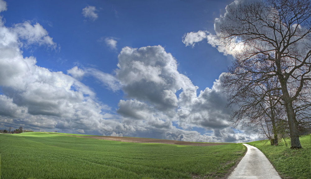 Road to the clouds