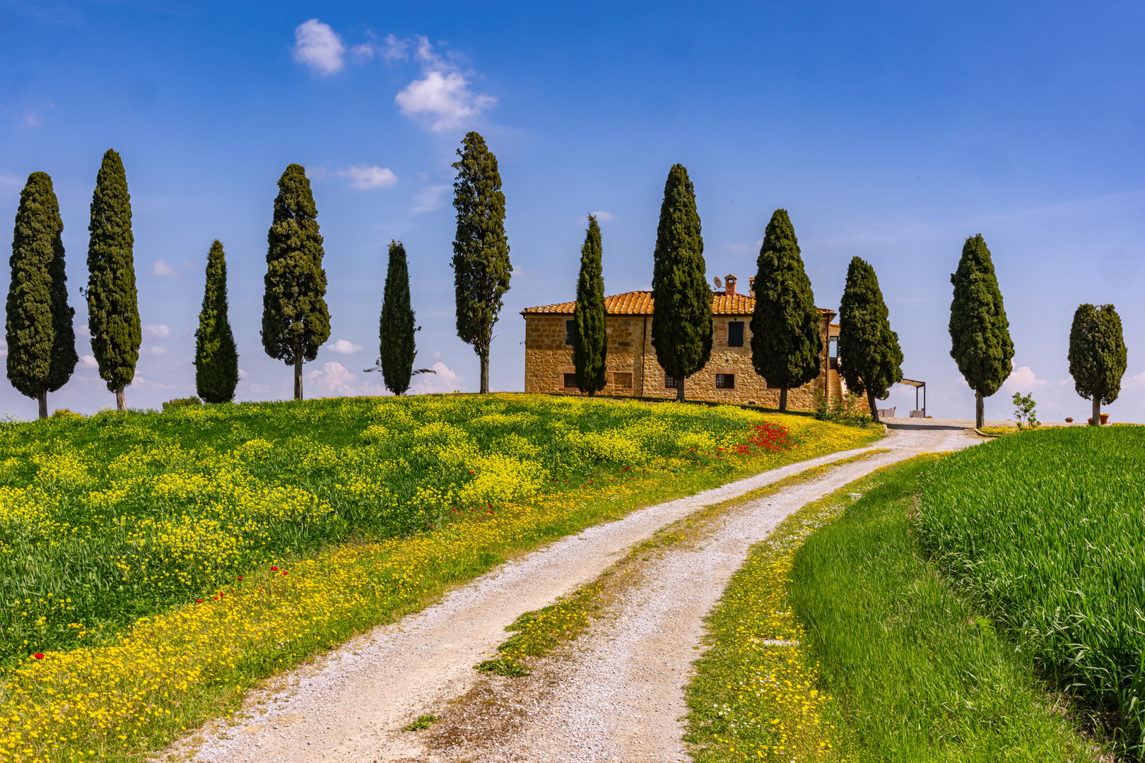 road to the cypresse line