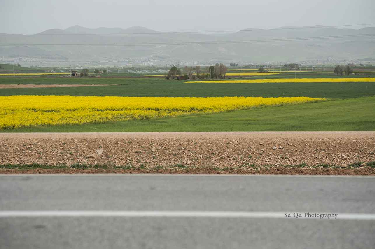 Road To The Fields