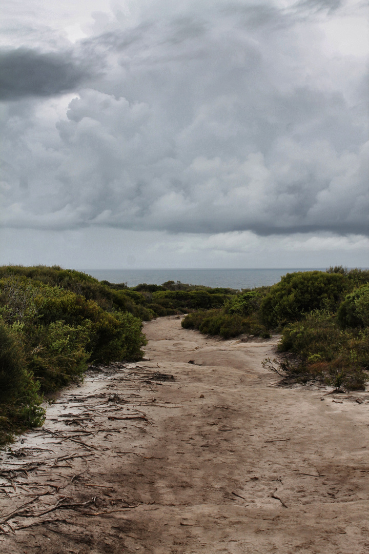 Road to the Ocean