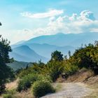 Road to the Platamonas Castle (Leptokarya, Greece)