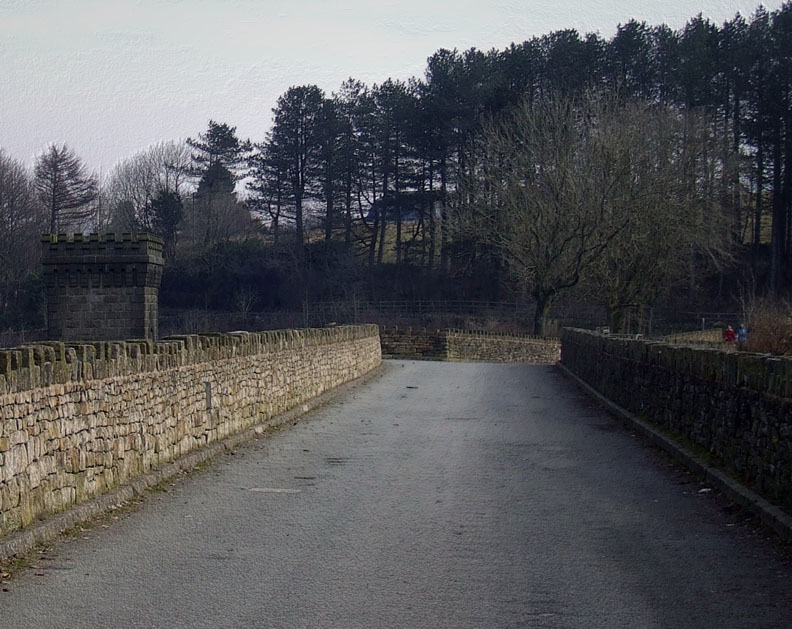 Road to the trees